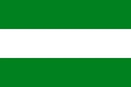 Rotterdam vlag